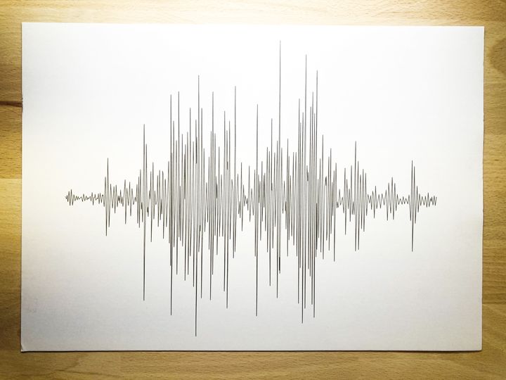 Sound on Mars, waveform, black on white, detail